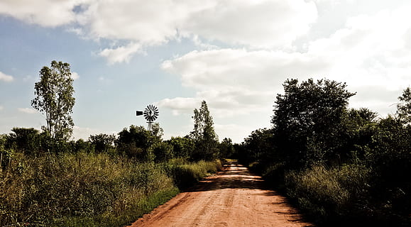 brun, pathway, trær, vei, midten, gress, himmel, dagtid, mais felt, skyet, dag, tre, vindmølle, gren, off-road, natur, landskap, scenics, utendørs, landlige scene, ingen folk, reise steder, sky - himmel, landskaper, sommer, gangsti, anlegg, veien forover, retning, vekst, transport, synkende perspektiv, skjønnhet i naturen, naturskjønnhet - natur, miljø, ikke-urbane scene, lang, 4K, CC0, offentlig domene, opphavsrett gratis