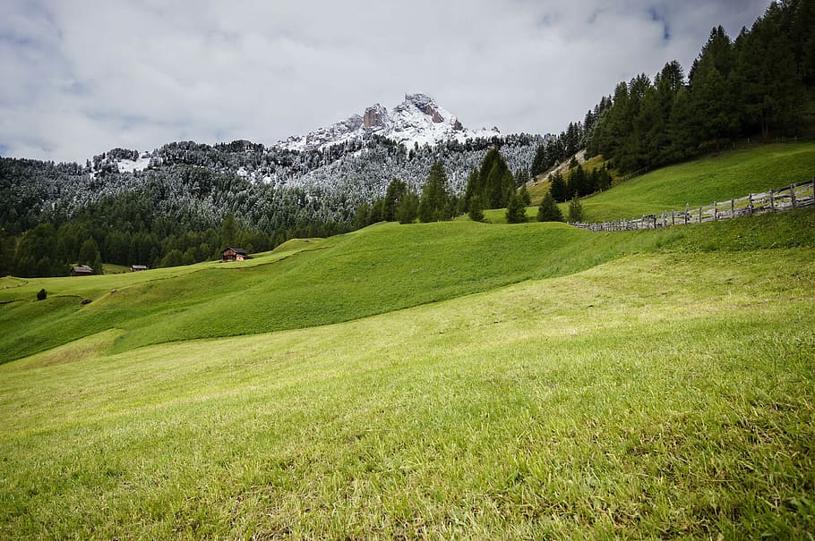 verde, erboso, tacco, nuvoloso, cielo, campo di erba verde, montagna, campo, albero, prato, erba, recinto, pendenza, paesaggio, verdura, natura, foresta, catena montuosa, Rolling Hill, pascolo, pianta, colore verde, bellezza nella natura, scenics - natura, corso di golf, attività di svago, scena tranquilla, attività, nessuno, golf, la tranquillità, giorno, ambiente, crescita, scena non urbana, verde - campo da golf, all'aperto, 4K