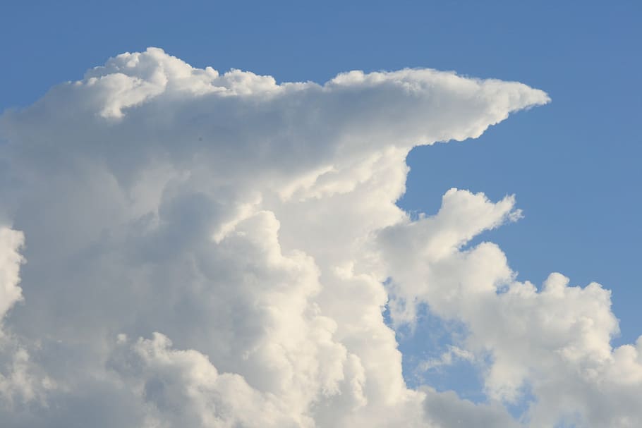nuvola di incudine, nube, grande, alto, impilati, bianca, piatto sormontato, cielo, blu, nuvola - cielo, sfondi, natura, nessuno, solo cielo, all'aperto, giorno, bellezza nella natura, Cloudscape, atmosfera, ambiente, scenics - natura, vento, Colore bianco, la tranquillità, nuvoloso, soffice, idilliaco, astratto, morbidezza, luminosa, clima, meteorologia, 4K