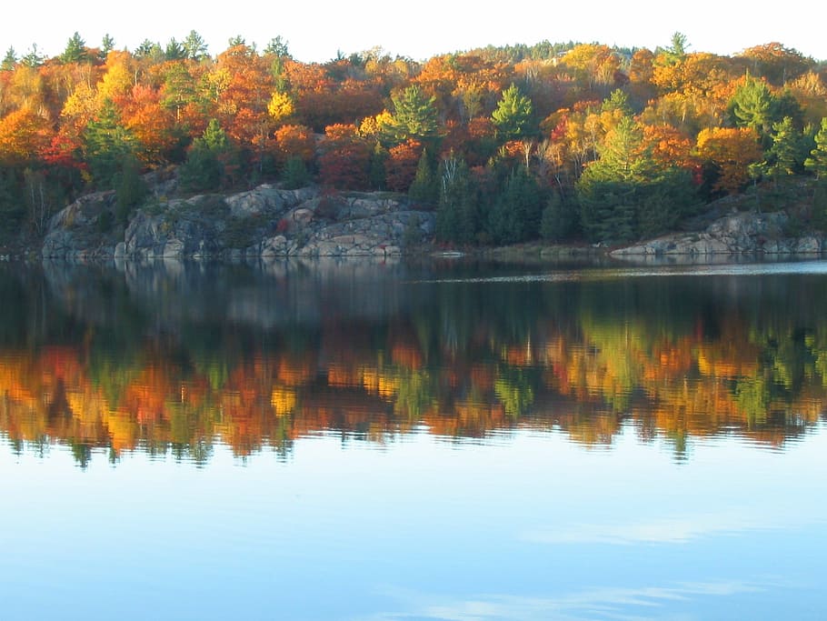 tardor, llac, reflexió, caure, colors, escut canadenc, granit, calma, paisatge, rocós, bosc, arbres, killarney, ontari, Canadà, pacífica, naturalesa, groc, arbre, color taronja, full, escenics, a l'aire lliure, temporada, bellesa a la natura, aigua, octubre, planta, tranquil·litat, escena tranquil·la, escenics - natura, canvi, davant del mar, cap gent, idíl·lic, creixement, dia, cel, 1080P