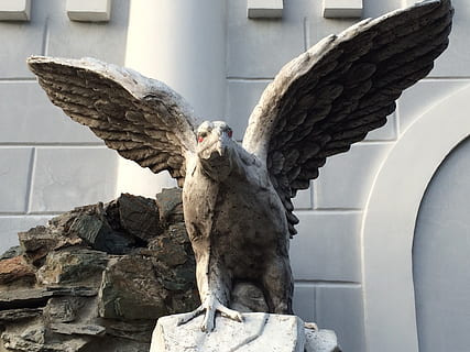 ocell, enea, flor de pedra, àguila, Àliga daurada, animal, temes d'animals, escultura, un animal, fauna animal, arquitectura, vertebrats, estàtua, animals a la natura, art i artesania, cap gent, dia, estructura construïda, representació, creativitat, exterior de l'edifici, naturalesa, rapinyaire, representació animal, material de pedra, a l'aire lliure, 2K, CC0, domini públic, lliure de regalies