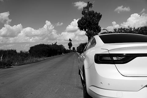 auto, renault, talismano, initiale paris, mezzi di trasporto, modo di trasporto, albero, veicolo a motore, cielo, nuvola - cielo, strada, pianta, veicolo terrestre, natura, giorno, viaggio, città, all'aperto, luce del sole, nessuno, in movimento, viaggio su strada, 5K, CC0, dominio pubblico, privo di copyright