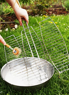 rent, rent, skrubba, grill, rutnät, rena, grillristen ren, borsta, borst, träborste, budget, rengöringsborste, handborste, porslin borste, rengöringsmaterial, besvärlig, trädgård, rengöringsmedel, utomhus, gräs, mänsklig hand, natur, sommar, mänsklig kroppsdel, en person, människor, dag, hand, riktiga människor, innehav, växt, oigenkännlig person, grön färg, fritidsaktivitet, fält, livsstilar, kroppsdel, fokusera på förgrunden, tillväxt, finger, trädgårdsarbete, mänsklig lem, 4K, CC0, offentligt domän, royaltyfria
