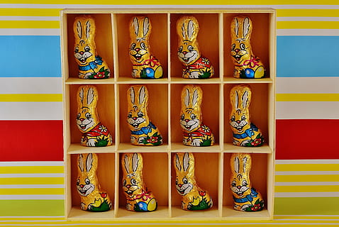 molta figureta de conill, prestatges per a cubs, conillets de xocolata, Pasqua, conill de Pasqua, caramels, Feliç Pasqua, tema de pasqua, dolçor, deliciós, salutació de pasqua, marca, cultures, en fila, prestatge, art i artesania, cap gent, a l'interior, vermell, costat a costat, multicolor, patró, funció de construcció de parets, sabata, ordre, artesania, creativitat, arquitectura, color vibrant, groc, elecció, ornamentat, motiu floral, 4K, CC0, domini públic, lliure de regalies