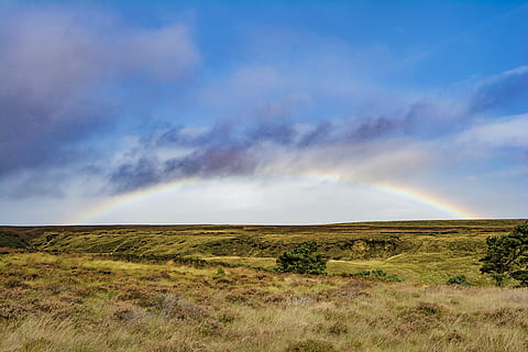 verde, prato, giorno, fotografia di paesaggio, arcobaleno, ogden, acqua, campo, cielo, nube, natura, paesaggio, nuvola - cielo, Paesaggi, erba, Cloudscape, all'aperto, scena rurale, blu, bellezza nella natura, nessuno, estate, ambiente, scenics - natura, terra, scena tranquilla, pianta, la tranquillità, scena non urbana, orizzonte, orizzonte sopra terra, idilliaco, semi arido, prateria, 5K, CC0, dominio pubblico, privo di copyright