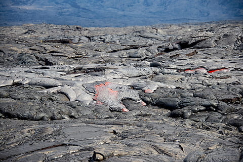 lavafelt, dagtimerne, vulkan, lava, flyde, udbrud, landskab, aktiv, hed, geologiske, hawaii, vulkaner nationalpark, mauna loa, Kilauea, USA, fyrig, ø, aske, natur, klippe, rock-objekt, geologi, solid, ingen mennesker, jord, dag, varme - temperatur, bjerg, vulkansk landskab, udendørs, miljø, skønhed i naturen, vulkansk rock, fysisk geografi, vand, flyder, marine, 1080P, CC0, offentligt domæne, royaltyfrie