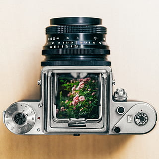grigio, nero, fotocamera dslr, beige, superficie, Pentacon, pentacon sei, formato medio, telecamera, fiore, rosa, Carl Zeiss, Vintage ▾, vecchio, film, fotografia, fricchettone, natura morta, mirino, livello della vita, in casa, tecnologia, temi fotografici, macchina fotografica - attrezzatura fotografica, nessuno, avvicinamento, girato in studio, attrezzatura fotografica, pianta, caratteristica della parete, Camera digitale, freschezza, cibo, tavolo, apparecchio, sfondo bianco, casa, 2K, CC0, dominio pubblico, privo di copyright