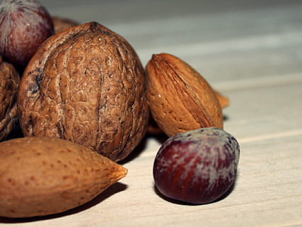 walnut, nuts, hazelnut, almonds, food, brown, tasty, eat, nutshells, vegetarian, mix, close, christmas, food and drink, freshness, healthy eating, wellbeing, close-up, nut, nut - food, fruit, no people, indoors, table, still life, focus on foreground, group of objects, studio shot, variation, nutshell, snack, wood grain, 1080P, CC0, public domain, royalty free