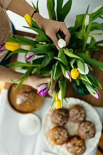 delicious homemade breakfast, Delicious, homemade, breakfast, sweet, morning, tasty, sugar, bakery, baked, food, freshness, flower, food and drink, one person, indoors, human body part, adults only, human hand, hand, real people, table, holding, unrecognizable person, ready-to-eat, close-up, lifestyles, selective focus, sweet food, leaf, finger, temptation, 5K