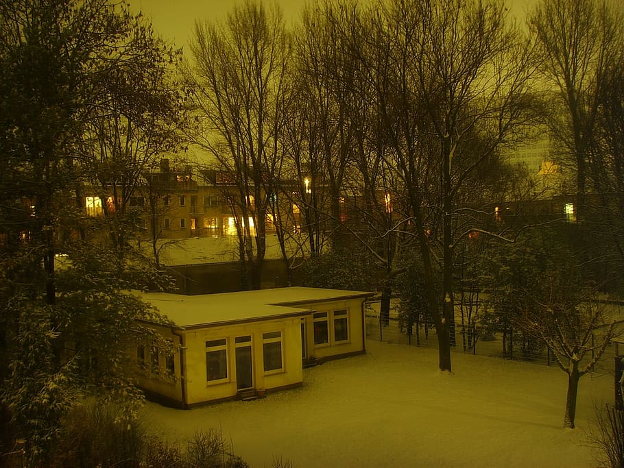 zimní, dojem, Německo, noc, venkovní, bílý, Studený, park, scénický, teplý, stromy, strom, rostlina, exteriér budovy, architektura, stavba, budova, sníh, nikdo, svítí, ulice, Příroda, holý strom, rezidenční čtvrti, město, studená teplota, pouliční osvětlení, venku, 2K