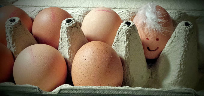 egg, funny, face, easter, fantasy, food, healthy eating, food and drink, wellbeing, freshness, egg carton, no people, close-up, raw food, indoors, still life, large group of objects, group of objects, animal egg, fragility, in a row, container, vulnerability, brown, tray, 2K, CC0, public domain, royalty free