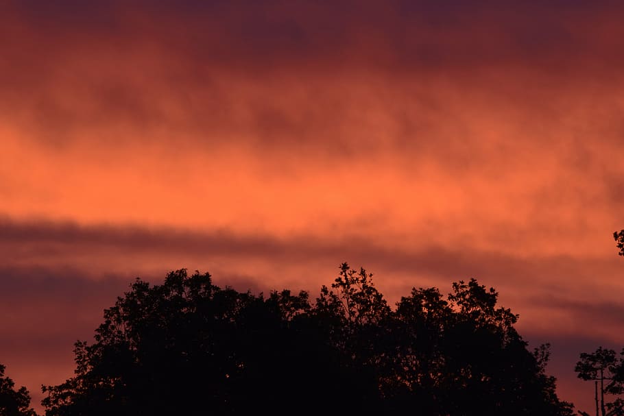 solar, naranja, puesta de sol, reflexión, árbol, hermosamente, naturaleza, cielo, oscuridad, nube - cielo, belleza en la naturaleza, planta, tranquilidad, cielo dramático, silueta, paisajes - naturaleza, nadie, escena tranquila, copa del árbol, humor atmosferico, idílico, color naranja, bosque, crepúsculo, al aire libre, oscuro, cielo romantico, 5K