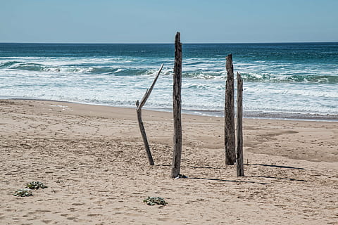 vier, braun, Treibholz, Strandschuh, Strand, allein, isoliert, einsam, Geheimnis, Meer, Ozean, Urlaub, Sommer-, Sand, Küste, Sommerstrand, Freizeit, Strandsand, draußen, Ufer, Struktur, Holzpfosten, Pole, verwittert, heiß, sonnig, friedlich, ruhig, heiter, Natur, Land, Wasser, Horizont, Horizont über Wasser, Himmel, Schönheit in der Natur, Ruhe, Szenen - Natur, ruhige Szene, Tag, Bewegung, keine Leute, klarer Himmel, Welle, idyllisch, 5K, CC0, gemeinfrei, lizenzfrei