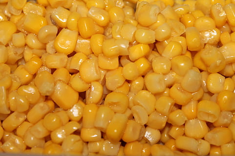 corn, background, food, corn kernels, cook, eat, food and drink, full frame, yellow, vegetable, backgrounds, healthy eating, close-up, wellbeing, freshness, sweetcorn, no people, abundance, heap, still life, indoors, large group of objects, ready-to-eat, high angle view, snack, comfort food, macaroni, 2K, CC0, public domain, royalty free
