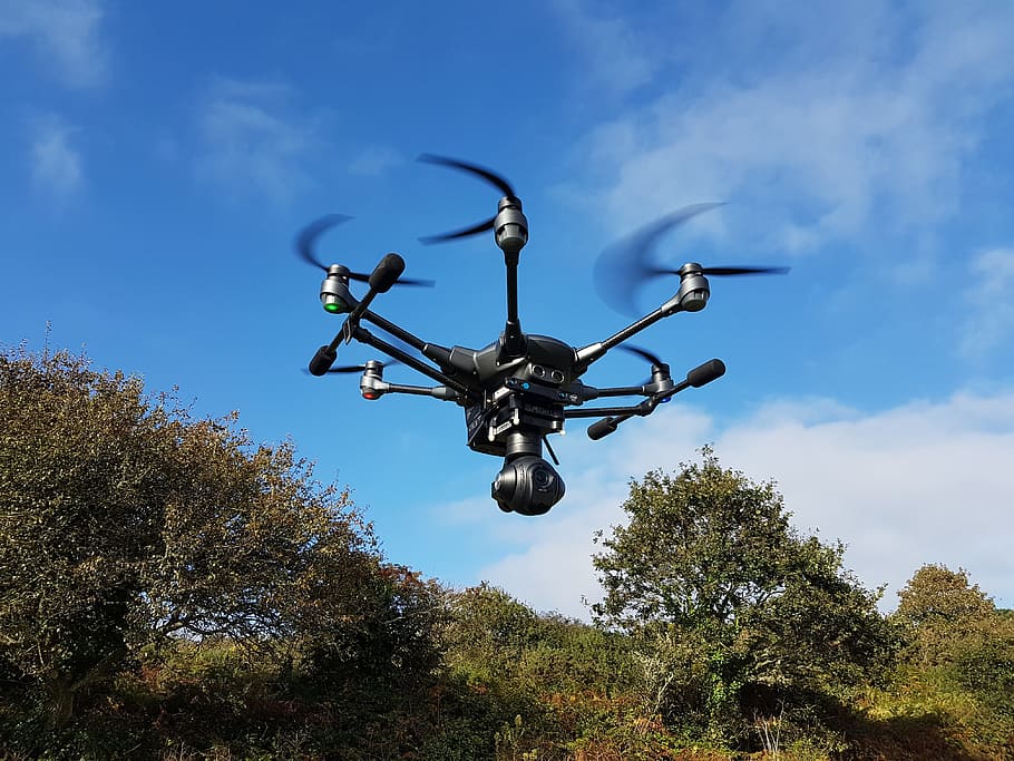 Černá, quadcopter, létající, zelená, listy stromů, high-tech, trubec, Příroda, nebe, mrak - nebe, strom, rostlina, nízký úhel pohledu, nikdo, den, růst, venku, modrý, střední vzduch, přeprava, zelená barva, pohyb, způsob dopravy, dohled, leteckého vozidla, 4K