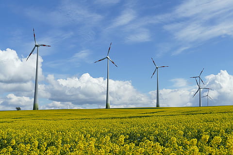 Panorama-, Fotografie, Grün, Feld, Windkraftanlagen, Windkraft, Landschaft, Wolken, Himmel, Blau, wunderschönen, Raps, Rapsblüte, Ernte, Rapsöl, Sonnenstrahl, Wiese, Natur, Blume, ländlich, Pflanze, Gelb, Kraftstoff- und Stromerzeugung, Umweltschutz, Umgebung, Turbine, Windkraftanlage, erneuerbare Energie, alternative Energie, ländliche Szene, Landwirtschaft, Schönheit in der Natur, Land, Technologie, wolke - himmel, Wind, keine Leute, draußen, Elektrizität, Frühling, Netzteil, nachhaltige ressourcen, Kraft in der Natur, 5K, CC0, gemeinfrei, lizenzfrei