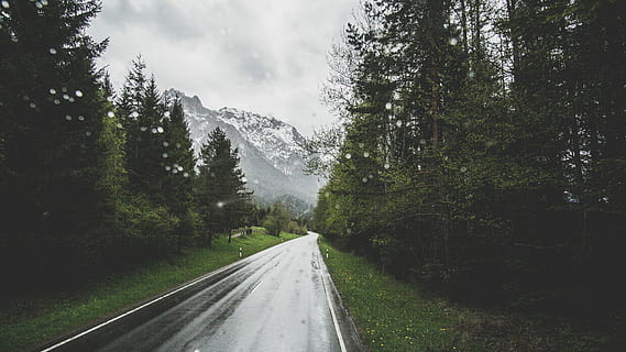 grijs, asfaltweg, omgeven, bomen, dag, foto, weg, regenen, nat, wolk, bewolkt, berg-, route, boom, berm, regen, reizen, Bos, avontuur, ontdekken, onderzoeken, fabriek, vervoer, richting, de weg vooruit, natuur, schoonheid in de natuur, scenics - natuur, geen mensen, land-, hemel, perspectief verminderen, niet-stedelijke scène, kalmte, milieu, buitenshuis, naaldboom, 5K, CC0, publiek domein, royaltyvrij