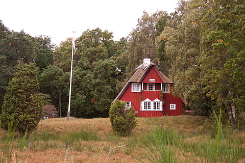cottage, plot, trees, red, denmark, natural, sky, vegetation, tree, plant, built structure, architecture, building exterior, building, no people, house, growth, nature, land, day, landscape, green color, forest, residential district, outdoors, beauty in nature, tranquility, cabin, 4K, CC0, public domain, royalty free