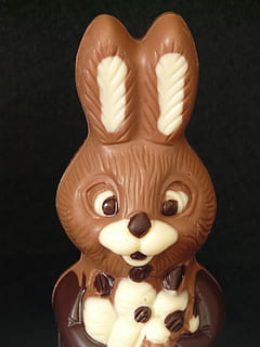 conill de Pasqua, Pasqua, xocolata, marró, home, llebre, figura, menjar, representació, a l'interior, representació animal, primer pla, art i artesania, menjar dolç, figureta, cap gent, creativitat, tir de l'estudi, indulgència, natura morta, sol objecte, mamífer, dolç, celebració, menjar i beguda, animal, fons negre, temptació, 2K, CC0, domini públic, lliure de regalies