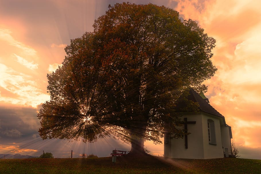 silueta, arbre, posta de sol, raig de sol, capella, núvols, cel, humor, cel de la nit, abendstimmung, sol, sol de tarda, raigs, vespre, romàntic, atmosfèric, il·luminació, llum de fons, tarda, idil·li, Església, Déu, idíl·lic, naturalesa, paisatge, tardor, assolellat, planta, edifici, arquitectura, exterior de l'edifici, color taronja, estructura construïda, núvol - cel, casa, a l'aire lliure, llum solar, gent, persones reals, camp, bellesa a la natura, barri residencial, creixement, 5K