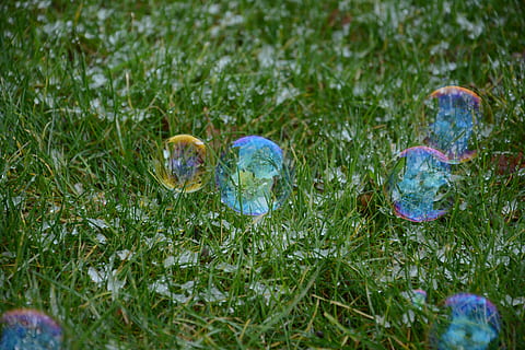 græs, træ, refleksioner, sæbebobler, skrøbelighed, fokus på forgrunden, dag, natur, ingen mennesker, tæt på, udendørs, vækst, blomst, plante, jord, grøn farve, selektiv fokusering, Mark, sårbarhed, skønhed i naturen, dyr, boble, høj vinkel visning, gennemsigtig, 5K, CC0, offentligt domæne, royaltyfrie
