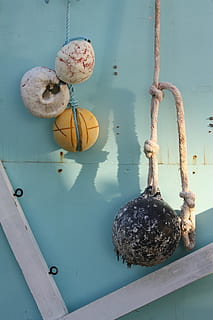 spiaggia, design, creativo, bianca, blu, sospeso, in casa, nessuno, giorno, avvicinamento, stanza domestica, metallo, natura morta, caratteristica della parete, legno - materiale, pianta, decorazione, giocattolo, colore rosa, fiore, natura, tavolo, pupazzo di pezza, freschezza, pianta fiorita, 4K, CC0, dominio pubblico, privo di copyright