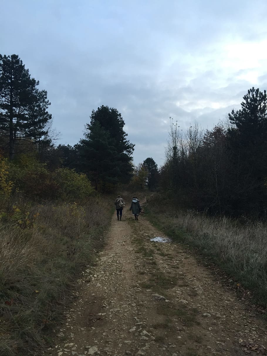 cesta, balada, les, strom, rostlina, směr, cesta vpřed, chůze, nebe, zpětný pohled, Příroda, mrak - nebe, skutečných lidí, volnočasové aktivity, silnice, den, dva lidé, životního stylu, pěšina, přeprava, přistát, mimoměstské scény, růst, venku, perspektiva, stezka, 2K