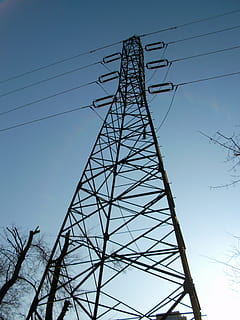 aktuell, die Spannung, Elektrizität, Kabel, Strommast, Himmel, Technologie, Flachwinkelansicht, Stromleitung, Netzteil, Verbindung, Kraftstoff- und Stromerzeugung, Natur, keine Leute, Metall, klarer Himmel, Komplexität, Tag, Baum, draußen, gebaute Struktur, die Architektur, elektrische Ausrüstung, Stromnetz, elektrische Komponente, Träger, 4K, CC0, gemeinfrei, lizenzfrei