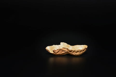 peanut, peanut shell, nutshell, cut in half, empty, close, black background, studio shot, copy space, indoors, no people, close-up, food and drink, single object, reflection, cut out, still life, food, reptile, nature, snake, animal, two objects, animal themes, one animal, black color, 2K, CC0, public domain, royalty free