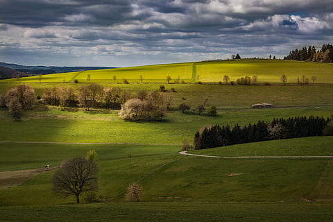 paisatge, eifel, Alemanya, núvols dramàtics, camp, prat, naturalesa, bosc, núvols, cel, senderisme, ampli, verd, descans, reserva natural, caminada, granja, agricultura, escena rural, escena tranquil·la, escenics, color verd, tranquil·litat, medi ambient, núvol - cel, escenics - natura, planta, terra, bellesa a la natura, herba, arbre, escena no urbana, cap gent, turó, a l'aire lliure, paisatge rodant, 5K, CC0, domini públic, lliure de regalies