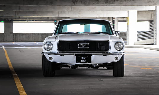 bianca, ford mustang car, grigio, strada, ford mustang coupé, Ford Mustang, box auto, auto, veicolo terrestre, mezzi di trasporto, vecchio stile, vecchio, in stile retrò, nessuno, obsoleto, giorno, in casa, modo di trasporto, veicolo a motore, architettura, stazionario, città, struttura costruita, viaggio, macchina vintage, vista frontale, 5K, CC0, dominio pubblico, privo di copyright