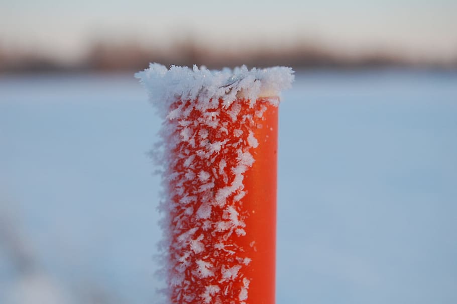 stolpe, rød, sne, flager, Frosset, vinter, rød, sne, frost, is, ze, kold, kold temperatur, fokus på forgrunden, ingen mennesker, dag, natur, tæt på, hvid farve, skønhed i naturen, udendørs, plante, kopiere plads, ro, orange farve, pulver sne, 2K
