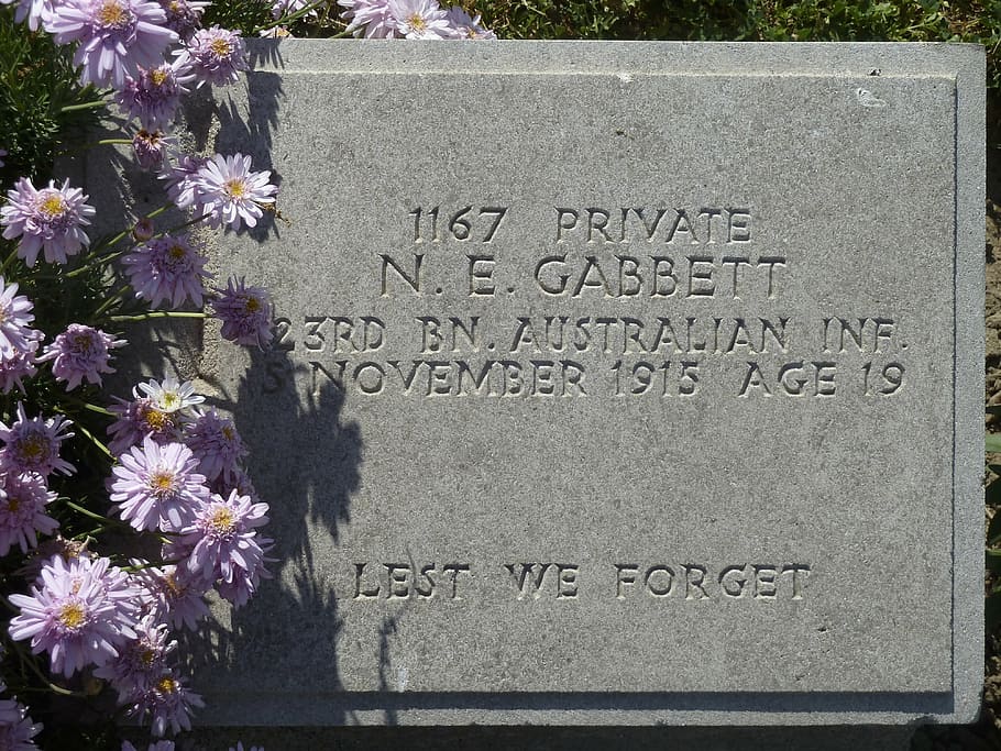 epitafi, làpida, memorial de guerra, enterrament, mort, tomba, cementiri, memòria, memorial, recorda, text, flor, planta amb flors, comunicació, guió occidental, planta, cap gent, dia, primer pla, signe, naturalesa, informació, pedra, arquitectura, paret, frescor, missatge, 4K