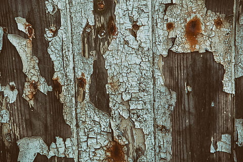 close-up texture shot, fractured, wood, paint, image, captured, canon 5, 5d, Close-up, texture, shot, Canon 5D, DSLR, textures, wood - Material, backgrounds, old, textured, plank, weathered, rough, dirty, abstract, pattern, old-fashioned, damaged, material, wall - Building Feature, brown, obsolete, cracked, timber, no People, tree trunk, day, nature, full frame, run-down, decline, deterioration, peeling off, bad condition, outdoors, textured effect, ruined, 4K
