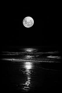 Mond, und, Fluss, Nacht-, Vollmond, Himmel, keine Leute, Wasser, Reflexion, Meer, Natur, dunkel, Szenen - Natur, Ruhe, ruhige Szene, Platz, Schönheit in der Natur, Astronomie, Land, draußen, Mondlicht, Horizont über Wasser, planetarischer Mond, 4K, CC0, gemeinfrei, lizenzfrei