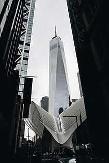 Basso, angle-view, costruzione di vetro, alto edificio bianco, costruzione, architettura, Torre, finestre, città, struttura costruita, esterno dell'edificio, edificio per uffici esterno, alto - alto, grattacielo, ufficio, cielo, moderno, giorno, Inquadratura dal basso, destinazioni di viaggio, gruppo di persone, grande gruppo di persone, viaggio, folla, all'aperto, distretto finanziario, 2K, CC0, dominio pubblico, privo di copyright