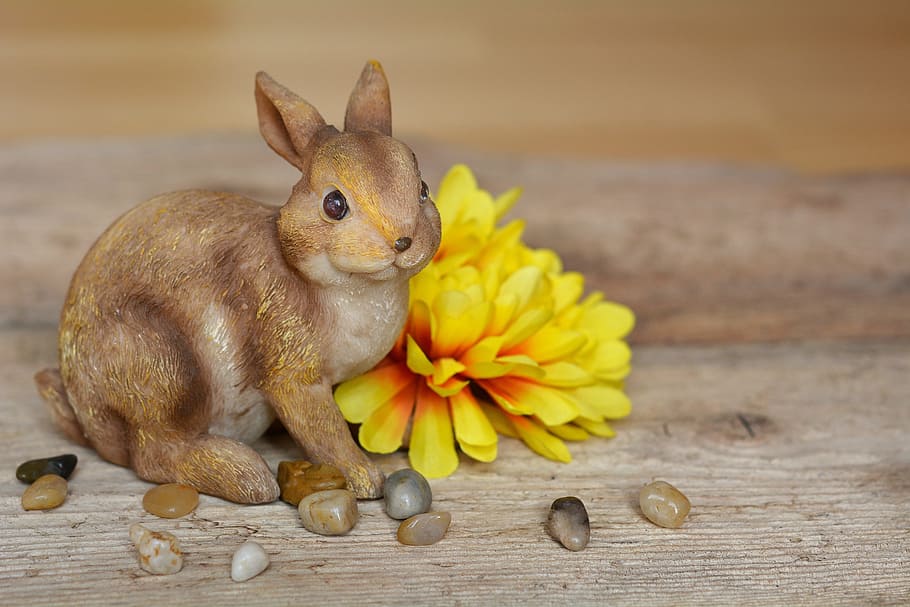 llebre, conill de Pasqua, dekohase, dekoblume, flor, groc, florir, pedres, papallona, fusta, deco, decoratiu, decoració, primavera, Pasqua, un animal, bonic, temes d'animals, menjar i beguda, animal, mamífer, conill - animal, a l'interior, material de fusta, mascotes, celebració, animals domèstics, cap gent, menjar, representació animal, primer pla, nacional, festa, 5K