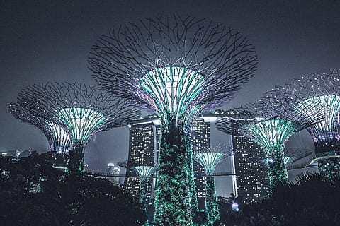 architectural, structures in, structures  in singapore, Buildings, structures, Singapore, architecture, city, night, illuminated, lighting Equipment, urban Scene, modern, gardens By The Bay, cityscape, asia, built Structure, celebration, ferris wheel, no people, building exterior, sky, tree, arts culture and entertainment, nature, plant, low angle view, travel destinations, office building exterior, tourism, city life, outdoors, skyscraper, light, firework display, 4K, CC0, public domain, royalty free