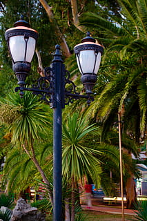 lantern, palm trees, landscape, tree, lighting equipment, palm tree, tropical climate, street light, plant, street, nature, no people, green color, outdoors, illuminated, growth, day, close-up, light, blue, electric lamp, electric light, palm leaf, 4K, CC0, public domain, royalty free