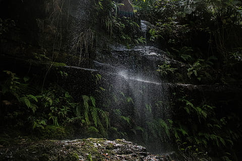 agua, soltando, cercado, sai, natureza, cascata, floresta, árvore, floresta tropical, corrente, rio, ao ar livre, cor verde, scenics, panorama, clima tropical, beleza na natureza, ninguém, dia, scenics - natureza, terra, plantar, movimento, crescimento, Exposição longa, Rocha, cena não urbana, tranquilidade, rock - objeto, meio Ambiente, água corrente, poder na natureza, fluindo, queda d'água, 5K, CC0, domínio público, royalty free