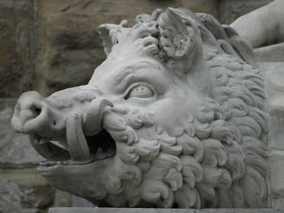 senglar, estàtua, animals, escultura, art i artesania, representació, artesania, creativitat, representació animal, primer pla, cap gent, arquitectura, animal, material de pedra, gat, sòlid, temes d'animals, dia, felí, lleó - felí, mamífer, història, ornamentat, 4K