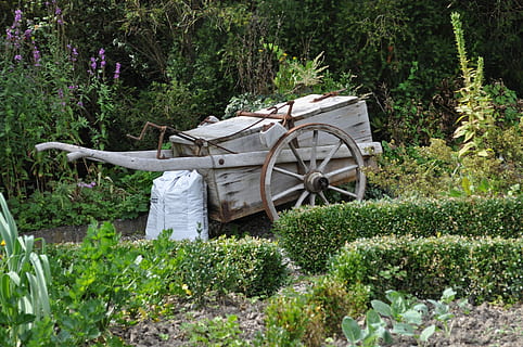 Sommerstimmung, Sommer-, Stimmung, Tag, Pflanze, draußen, Wachstum, keine Leute, Natur, Baum, grüne Farbe, Land, Feld, Schönheit in der Natur, Holz - Material, Ruhe, Transport, Landschaft, Landwirtschaft, Wasser, ländliche Szene, Wald, Gartenarbeit, Rad, 4K, CC0, gemeinfrei, lizenzfrei