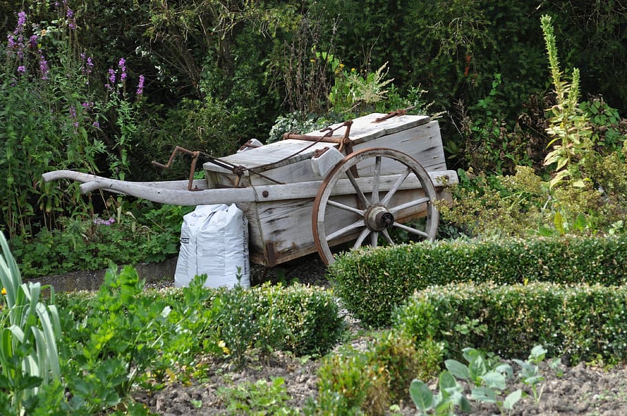 Sommerstimmung, Sommer-, Stimmung, Tag, Pflanze, draußen, Wachstum, keine Leute, Natur, Baum, grüne Farbe, Land, Feld, Schönheit in der Natur, Holz - Material, Ruhe, Transport, Landschaft, Landwirtschaft, Wasser, ländliche Szene, Wald, Gartenarbeit, Rad, 4K