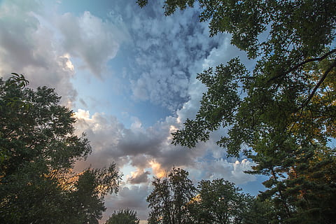 verde, albero delle foglie, giorno, nube, tramonto, albero, foresta, cielo, natura, sole, paesaggio, Alba, estate, blu, vista, sera, colore, viaggio, nuvole di cielo, luce, luce del sole, all'aperto, orizzonte, tempo metereologico, stagione, arancia, drammatico, colorato, giallo, crepuscolo, panoramico, soleggiato, sfondo tramonto, sfondo della nube, naturale, luminosa, cielo nuvole, vacanza, pianta, bellezza nella natura, nuvola - cielo, Inquadratura dal basso, crescita, la tranquillità, nessuno, scenics - natura, scena tranquilla, scena non urbana, idilliaco, terra, ramo, baldacchino di albero, 5K, CC0, dominio pubblico, privo di copyright