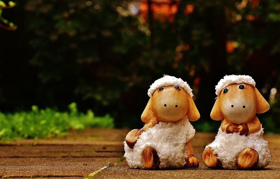 ovelles, deco, ceràmica, bonic, figura, joguina suau, llana, cara, ungulate, joguines, animal, divertit, decoració de pasqua, representació, joguina, creativitat, centrar-se en primer pla, joguina de peluix, cap gent, art i artesania, representació humana, dia, primer pla, osset de peluix, naturalesa, mamífer, planta, arbre, a l'aire lliure, suavitat, 5K