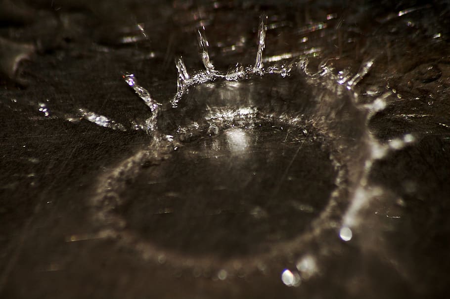 gotes d’aigua, aigua, tirar, gota d'aigua, macro, líquid, bombolla, clar, transparent, splash, esquitxades, ondulació, aqua, degoteig, caient, gota, primer pla, enfocament selectiu, cap gent, naturalesa, fons, marc complet, dia, congelat, temperatura de fred, a l'aire lliure, un animal, gel, fragilitat, primer pla extrem, animal, hivern, 2K
