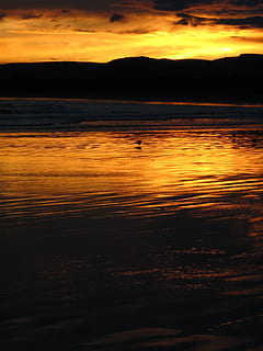 auringonlasku, valo, ranta, aurinko, ulkovalaistus, luonto, maisema, kesä, ulko-, auringonvalo, matkustaa, lintu, luonnollinen, meri, vesi, taivas, maisemat - luonto, kauneus luonnossa, oranssi väri, siluetti, rauhallinen kohtaus, pilvi - taivas, eläin, tyyneys, eläinten teemoja, selkärankainen, eläimiä, eläinten villieläimet, yksi eläin, ei ihmisiä, ulkona, 2K, CC0, public domain, rojaltivapaa