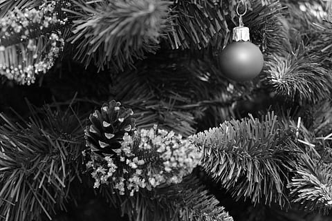 cone, christmas, sapling, ornament, christmas decoration, celebration, holiday, christmas ornament, christmas tree, decoration, tree, close-up, no people, plant, nature, focus on foreground, celebration event, holiday - event, event, indoors, winter, needle - plant part, pine tree, 4K, CC0, public domain, royalty free