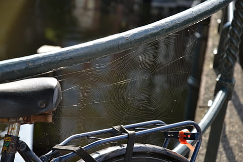 web, licht, fiets, zwart, Amsterdam, Holland, klassiek, vervoer, metaal, wijze van transport, geen mensen, dag, landvoertuig, focus op de voorgrond, water, natuur, buitenshuis, architectuur, detailopname, stuur, zonlicht, traliewerk, stationair, stad, nat, zilverkleurig, 5K, CC0, publiek domein, royaltyvrij