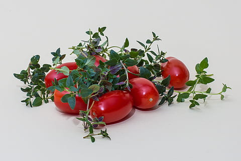 Herbs, Thyme, Tomatoes, Kitchen, Spice, kitchen spice, herb, cook, kitchen herb, garden plant, mediterranean, garden herbs, tomato, food, red, vegetable, freshness, leaf, green Color, food And Drink, close-up, healthy Eating, vegetarian Food, organic, nature, studio shot, white background, fruit, wellbeing, indoors, plant part, no people, plant, still life, ripe, 2K, CC0, public domain, royalty free